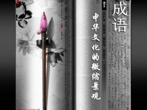 (成语天外飞仙什么意思)探索中国传统文化：天外飞仙是否属于成语的应用与解读