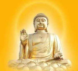 深信佛教的夫妇挟带期望在佛前抬高点，虔诚祈求能给予他们孕育新生命的祝福