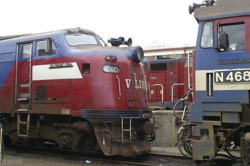 (口袋西游ol手机版)口袋西游OL：体验无极限的奇幻冒险之旅