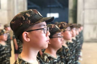 受版权问题影响,热门手游塔防群侠传遭遇下架风波,影响众多玩家体验 受版权问题影响,热门手游塔防群侠传遭遇下架风波,影响众多玩家体验