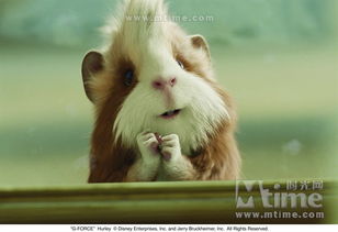 (在暗夜破晓附魔版中探寻无尽奥秘与魔力有什么用)在暗夜破晓附魔版中探寻无尽奥秘与魔力 (在暗夜破晓附魔版中探寻无尽奥秘与魔力有什么用)在暗夜破晓附魔版中探寻无尽奥秘与魔力