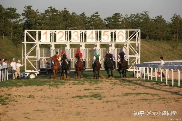 (粘粘世界第四章最后一关进不去)粘粘世界第四章全面图文攻略：详解谜题破解与最佳通关路线