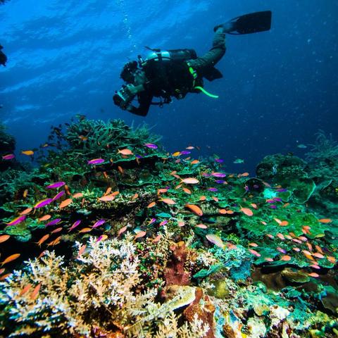 (下潜5个步骤)掌握下潜的五个步骤，提升潜水技巧与安全性的全面指南