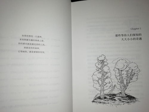 (空想森林歌词翻译)在空想森林中徜徉：罗马音歌词的奇妙旋律