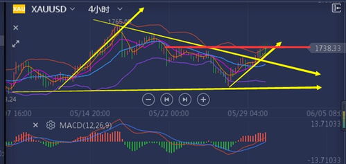 探讨斯图雅杜尔的作品及其在当代艺术中的独特影响与价值
