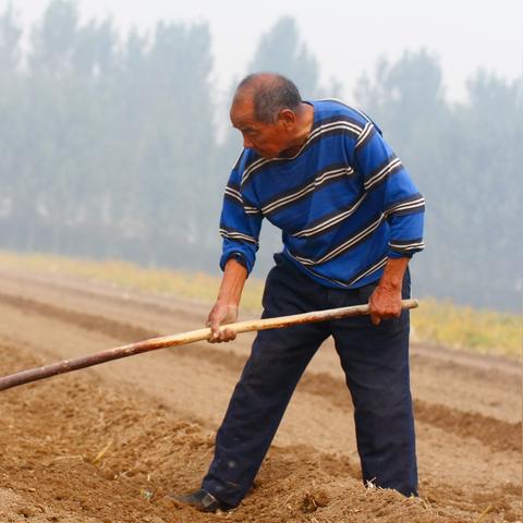 激发创意灵感，微信小程序英雄应运而生，来当家引领全新创新风潮
