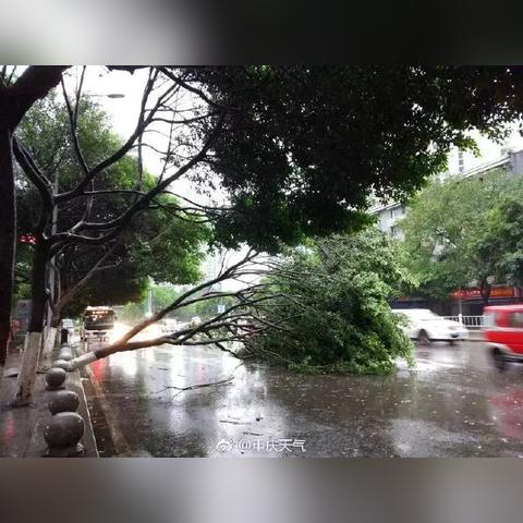 疾风跳跃小游戏：探索风速与重力的极限，挑战你的反应能力与技巧