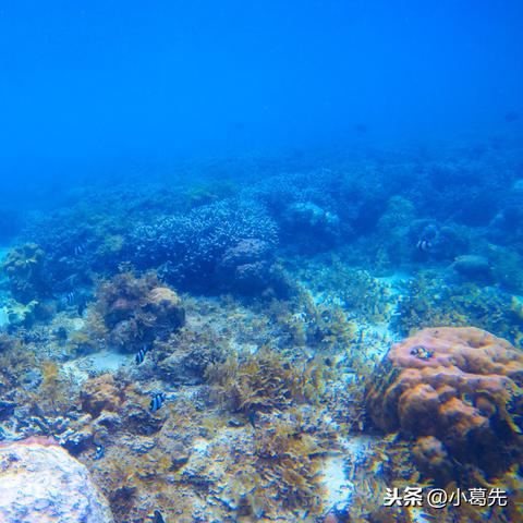 (深海日记是哪里的牌子)深海航海日记2:如何选择合适的武器装备来征服海洋? (深海日记是哪里的牌子)深海航海日记2:如何选择合适的武器装备来征服海洋?