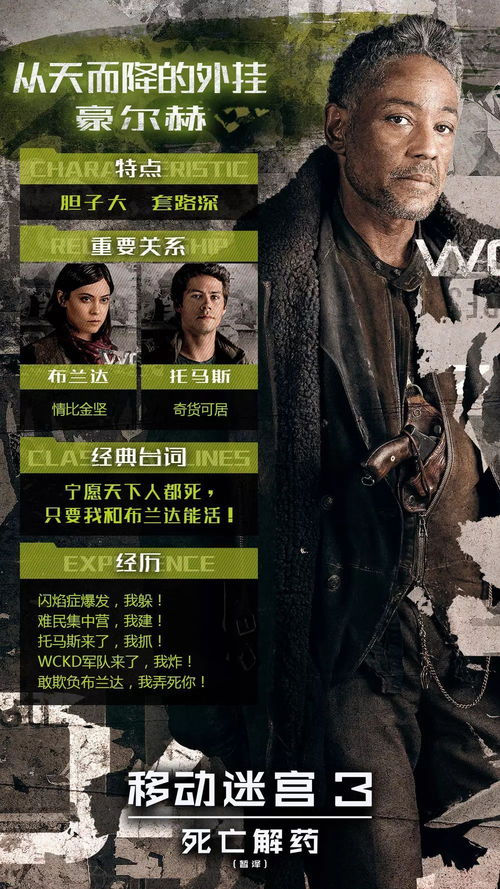 热血英雄演员表及主要角色分析：揭秘每位演员的精彩演绎与角色魅力