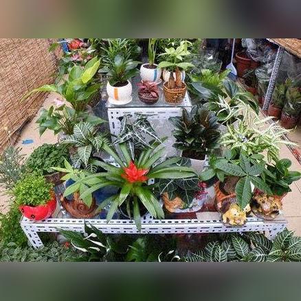 (断肢血腥游戏)残忍血腥的手机游戏：暴力断腿断手惊悚体验