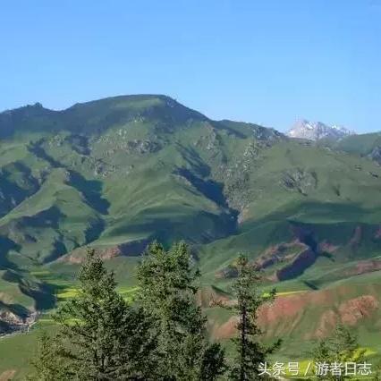 (风云搏击俱乐部)搏击风云：探秘格斗天下会的激烈竞技与无尽挑战