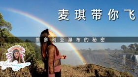 真实与理想交织,探秘爱丽丝的梦想人生——免广告时代的画布展开 真实与理想交织,探秘爱丽丝的梦想人生——免广告时代的画布展开