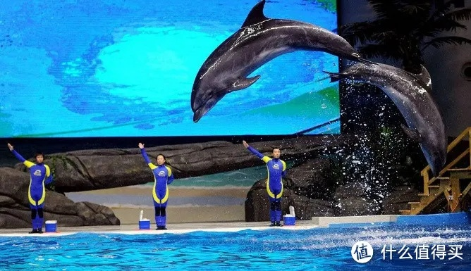 探索海昌海洋公园攻略：从海底世界到极致亲子乐园，畅享全方位海洋奇遇！