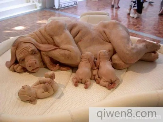 (畸形动物展)是否真的有畸形动物园存在？探索谣言背后的真相和现实