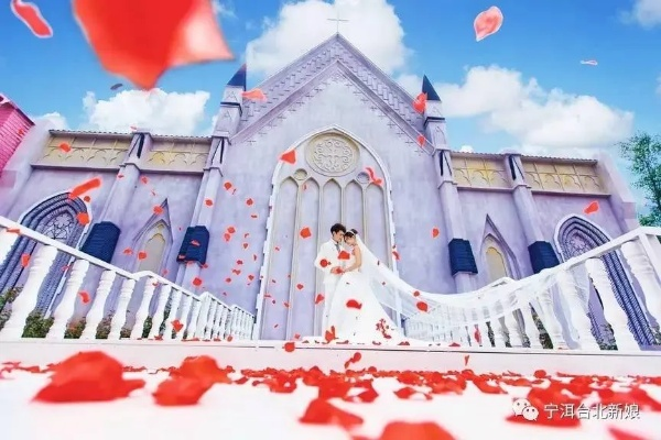 我的城堡说欢迎光临：在寻找幸福生活的旅程中，如何用心体验和珍视每一份来客的惊喜