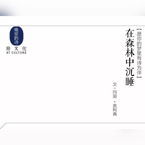 晚安森林最新版本更新:新增特色剧情和角色,引领玩家深度探索森林生态奥秘 晚安森林最新版本更新:新增特色剧情和角色,引领玩家深度探索森林生态奥秘