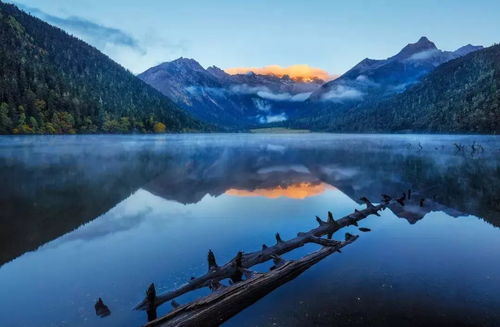 探索成仙之路：那些动人心弦的成仙歌曲，带你领略仙境的魅力与梦想