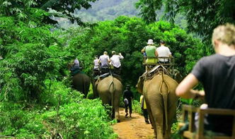 真正的原始生活：原始陌生男女荒野森林生存21天，体验纯自然野外求生的艰难和冒险