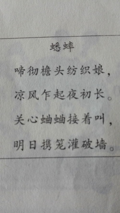 (蟋蟀在夜晚弹琴仿写句子)蟋蟀仿佛在夜晚的静谧中诉说着万千情愫