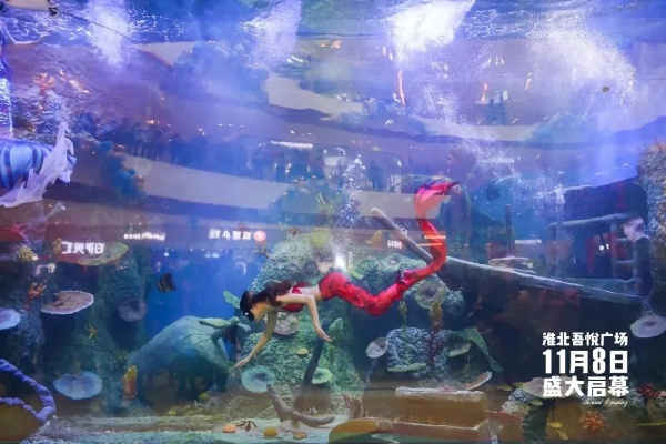 (我想看看跳跳鱼世界)探索跳跳鱼世界真人版：沉浸式体验与奇幻冒险的完美结合