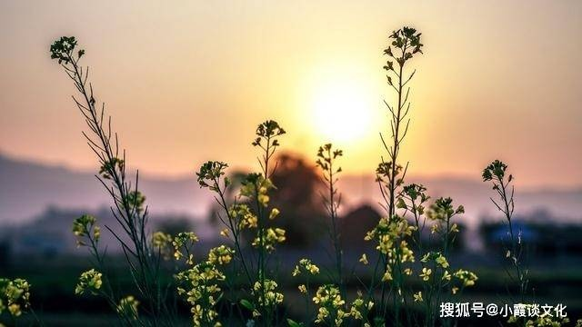 (浮生如梦的说说)浮生如梦，唯有珍惜此刻，方能抓住真实的幸福和快乐