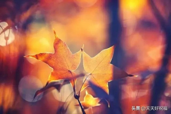 (浮生如梦的说说)浮生如梦,唯有珍惜此刻,方能抓住真实的幸福和快乐 (浮生如梦的说说)浮生如梦,唯有珍惜此刻,方能抓住真实的幸福和快乐