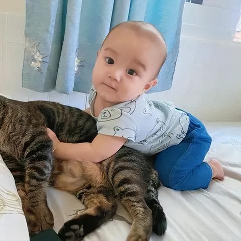 掌握家庭收支明细，助力理财——咪呜记账簿官方带你轻松进行高效记账