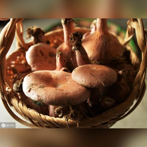 (捉迷藏神秘人)探寻隐藏身份的乐趣：挑战你的眼力和智力的捉迷藏变身游戏