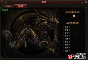 (黑龙大帝什么等级)神秘莽荒之地传说大黑龙君，守护者还是威胁？