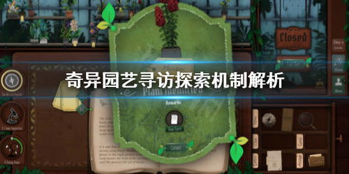 享受奇幻旅程:探索'萝娜的奇妙时光单机'中隐藏的多元化剧情及角色成长 享受奇幻旅程:探索'萝娜的奇妙时光单机'中隐藏的多元化剧情及角色成长