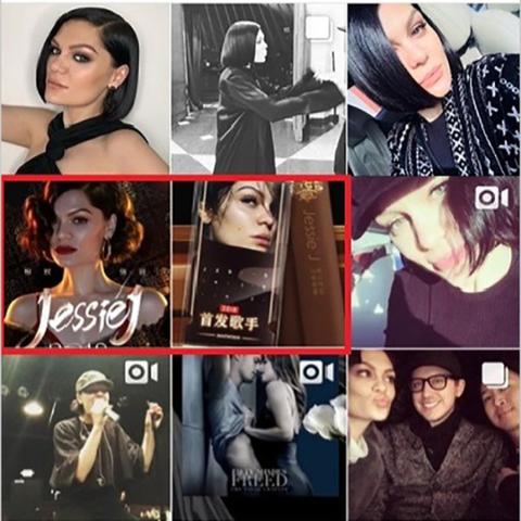 花与香水与猫：揭示这些生活元素为何在电商平台被下架的背后原因