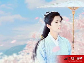 探讨《择天记》后续作品《圣光大陆》的关系与发展，揭开剧情背后的世界观