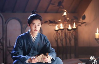 探讨《择天记》后续作品《圣光大陆》的关系与发展，揭开剧情背后的世界观