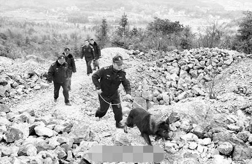 (捕盗是什么意思)揭秘捕盗行纪：隐藏历练背后的秘密和挑战