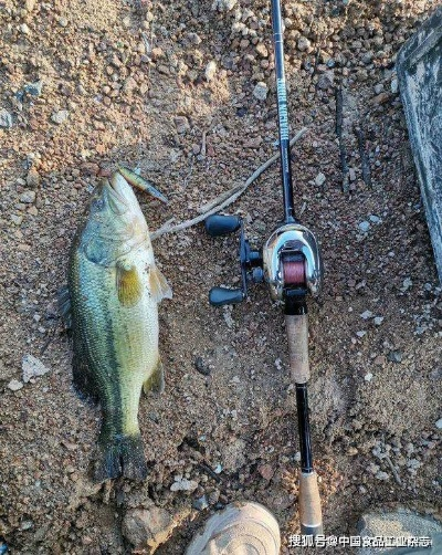 (钓鱼脱钩是什么意思)随着科技日新月异，传统钓鱼工具脱兔还有没有使用的必要？