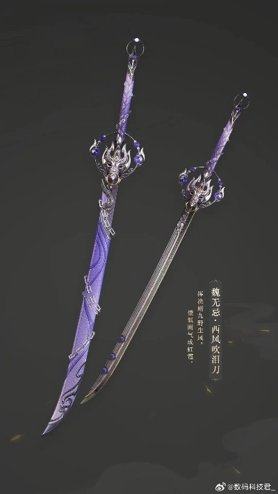 (拼多多的剑是真剑吗)探寻剑刃风华在拼多多上的独特之处