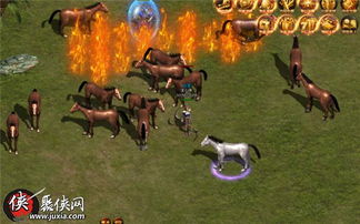 (神秘捕猎师)探秘神秘狩猎超能力大叔的传奇征程