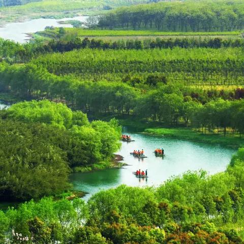 探秘云上大陆升级最快方法:深度解析装备获取、角色培养与副本挑战三大重要要点