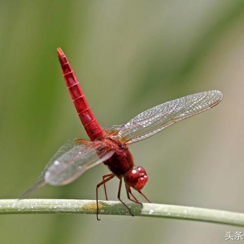 (生活向前冲第二季)向前生活第9季最新更新内容抢先看，剧情精彩不容错过