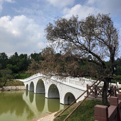 (电脑桌面风景图片下载)一览无余！电脑桌面风景图片大全大图欣赏，美不胜收！