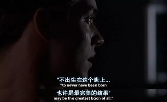 (揭露爱情虚伪的图片)揭示真相：识破爱情的谎言，美丽诗句揭开爱情的面纱