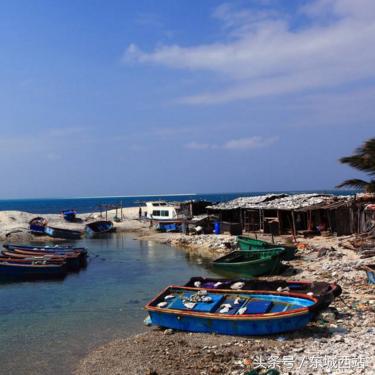 (小小岛属于哪个社区)小小岛屿官方正版官网入口：探索微小世界的乐园和官方资讯