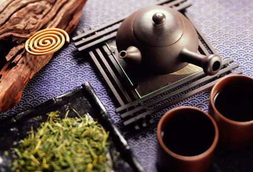 本茶纲目公测时间揭秘：何时能体验这款备受期待的茶文化应用？