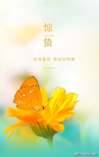 (惊蛰发圈文案)蛰伏之惊蛰，文案短句干净治愈，带来心灵宁静与平静。