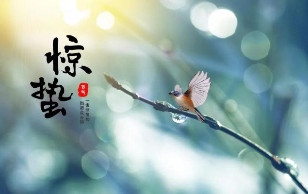 (惊蛰发圈文案)蛰伏之惊蛰，文案短句干净治愈，带来心灵宁静与平静。