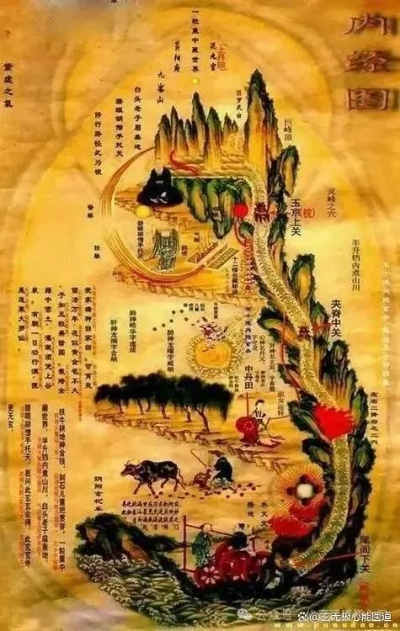 (长生之道的口诀)探秘长生之道：从呼吸法开始的奇幻征程