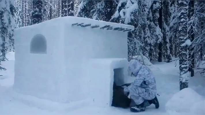 (极地诡变电影)探索极地诡变：冰雪之下隐藏着神秘的奥秘与未知力量