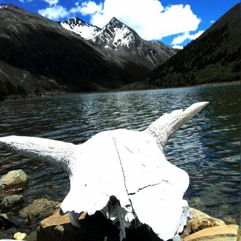 星空之战传奇邀请码最新版本：参与战场与传奇，体验全新星际冒险