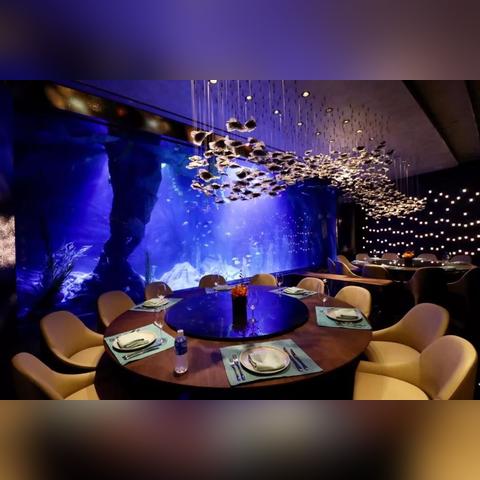 (深渊地平线视频)探寻深渊的奥秘：深渊地平线图鉴，解密海底世界的神秘真相