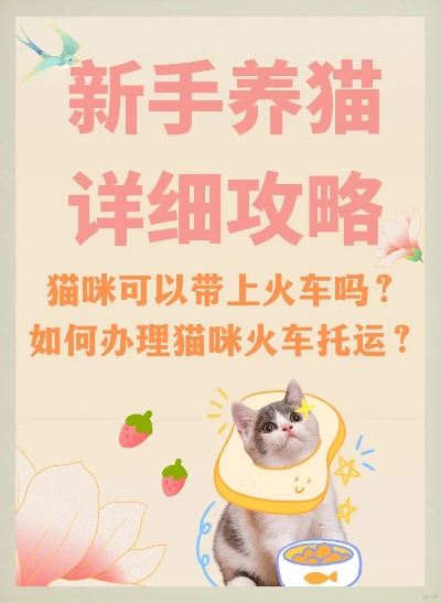 (带着猫上火车)细节揭秘：带猫咪偷偷上火车攻略，成功出行必备技巧